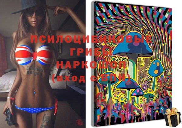 МДПВ Горнозаводск