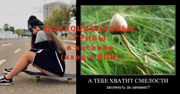 МДПВ Горнозаводск