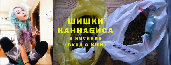 МДПВ Горнозаводск