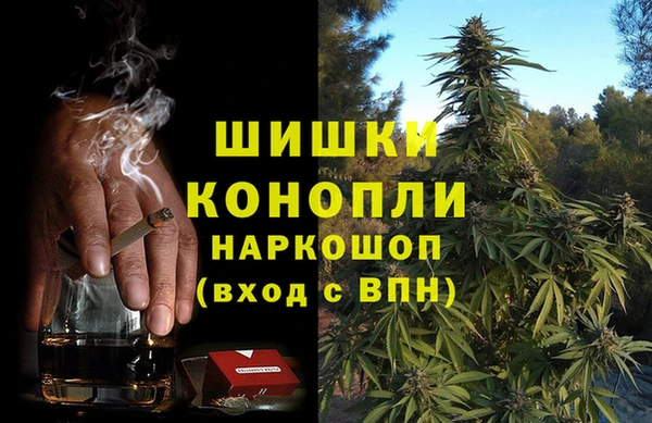СК Горно-Алтайск
